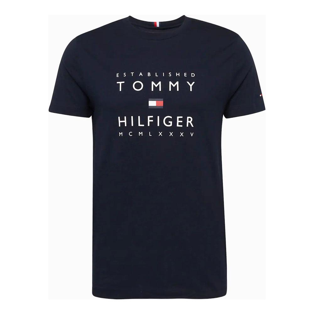 Tommy Hilfiger Remera Masculino IM ESTABLISHED STACKED TEE DESERT SKY