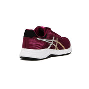 Asics Running Femenino Raiden 3 Dried Berry/Black